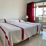 Palm D'Or / Gir2405 / 2P