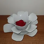 O Zen Suite