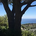 Magnifique Studio Cassis