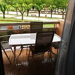 La Cigale En Vacances