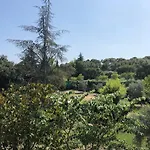 L'Oliveraie