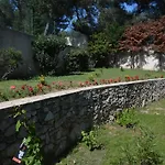 Cassis Paradise 1