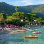 La Pinede Le Lavandou Appartement Rez De Jardin Acces Direct Plage Piscine