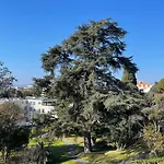 Bnb Renting Le Cedre Spacious Studio In Cannes With A Balcony Wifi And Ac