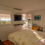 Charmant Studio Renove Avec Terrasse, Climatisation Et Wifi Gratuit - Fr-1-196-166