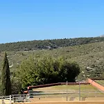 J'Ai Reve De Cassis