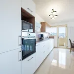3-Br Apartment Near Downtown Cannes Sea View Parking