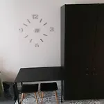 Studio Guy