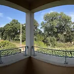 Location Semaine D'Un T3 A Vescovato , Corse