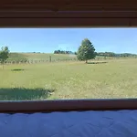 Un Tonneau A La Belle Etoile