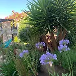 Au Pied Du Baou Avec Jardin Prive