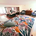 Bel Appartement Avec Patio En Coeur De Ville