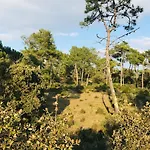Maison Du Bois Martineau, Foret Et Standing