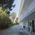 Studio At -La Croisette- Cannes - Beach Garden -