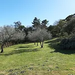 Mas Du Saute Meissugues