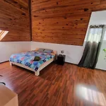 Luxury Room 4 Minute From Basel Shared Apartment