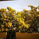 Appartement Proche Mer Avec Terrasse Et Jardin Privatif