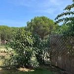 Apartment Caesar Domus-7 By Interhome