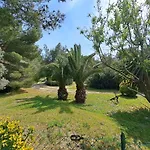 Rez De Jardin Villa Presqu'Ile De Giens