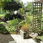 Hirondelles Et Mesanges