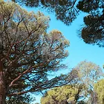 Camping Ladouceur