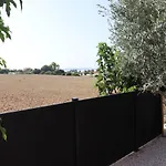 Le Petit Sud