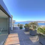 Luxury Penthouse Near Palm Beach Cannes - Visane