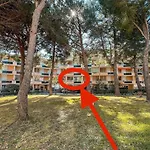 T2 30M2 Proche Plage, Renove Et Equipe