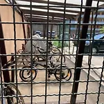 Appartement Climatise Au Centre-Ville Du Lavandou Avec Parking Securise Et Terrasse - Fr-1-308-184