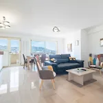 3-Br Apartment Near Downtown Cannes Sea View Parking