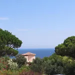Villa Neuve 6 Pieces Climatisee Avec Piscine Privee Et Jardin A Sainte-Maxime - Fr-1-780-67
