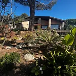 Villa 35 Meters From Gigaro Beach