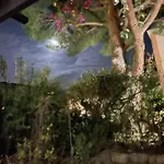 Studio Bandol Avec Jardin