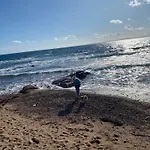 Mediterranee Paradise