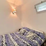 Petit Coin De Paradis A Deux Pas De La Mer Jardin