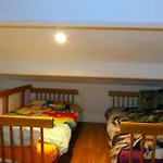 Family Cocoon Near The Sea