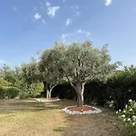 Maison Individuelle Avec Vue Sur Les Vignes, Jardin Et Terrasse A La Croix-Valmer - Fr-1-726-31