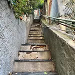Maisonnette Avec Escalier