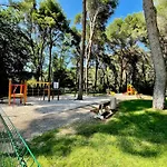 Le Rayon Vert