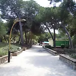 Le 5 Tanit
