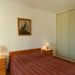 Appartement 2 Pieces Au Lavandou Avec Terrasse, Wi-Fi Et Parking Prive A 5Min De La Plage - Fr-1-251-710