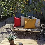 Les Citronniers Et Les Mimosas