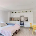 Albert 1Er Furnished Apartment