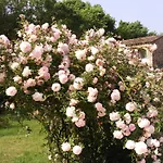 La Pierrerie