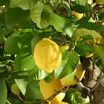 Le Mas Du Soleil