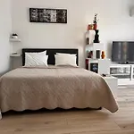 Palm Studio