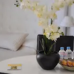 Seayousoon Inn Cannes - Studios