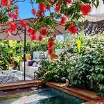 Casa Bambou An Hidden Gem Near Saint Tropez With Private Pool