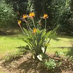 Plein Soleil