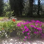 Plein Soleil